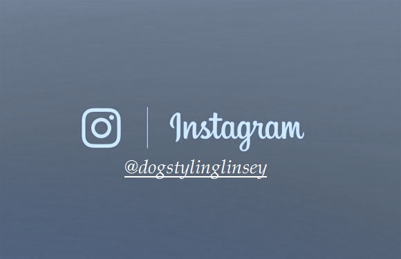 instagram-uitg2-580x375